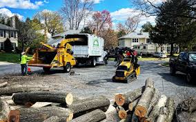 Trusted Gahanna, OH  Tree Services Experts